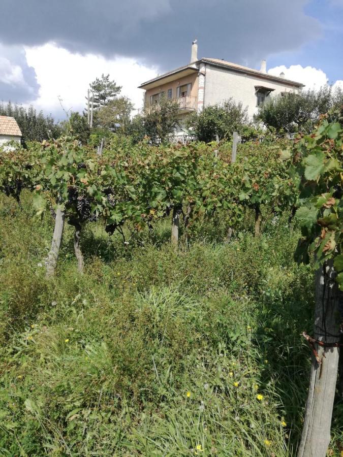 B&B Nel Verde Montesano sulla Marcellana Extérieur photo