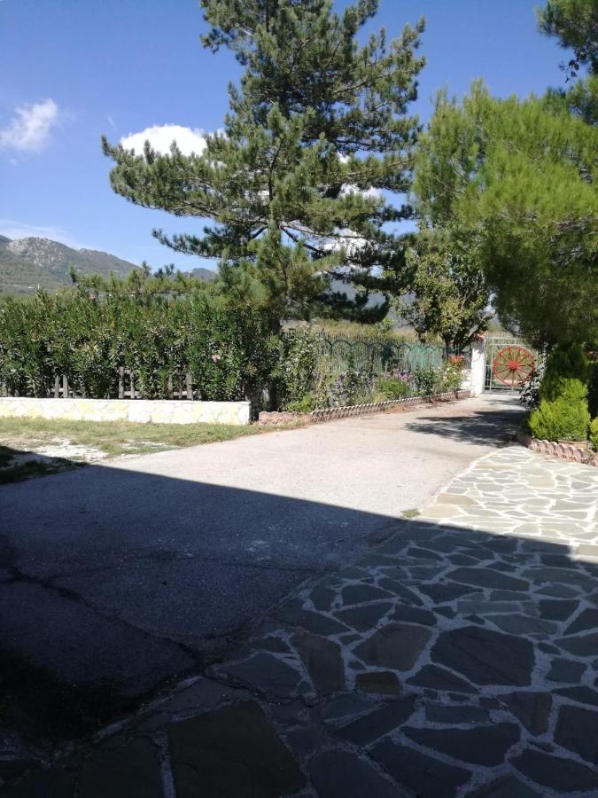 B&B Nel Verde Montesano sulla Marcellana Extérieur photo