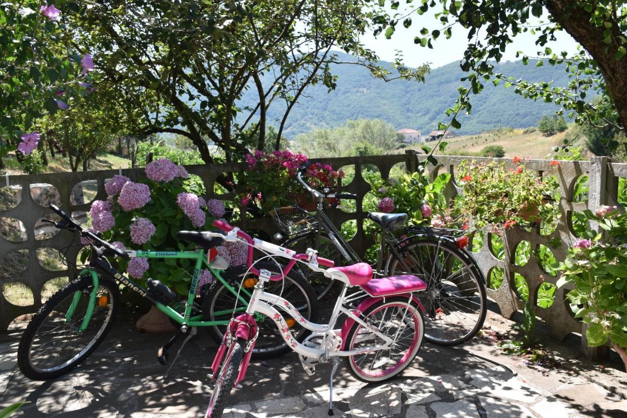 B&B Nel Verde Montesano sulla Marcellana Extérieur photo
